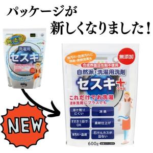 洗濯用セスキプラス 600g セスキ 粉洗剤 ...の詳細画像1
