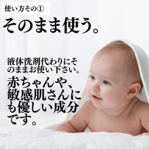 洗濯用セスキプラス 600g セスキ 粉洗剤 ...の詳細画像3