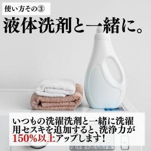 洗濯用セスキプラス 600g セスキ 粉洗剤 ...の詳細画像5