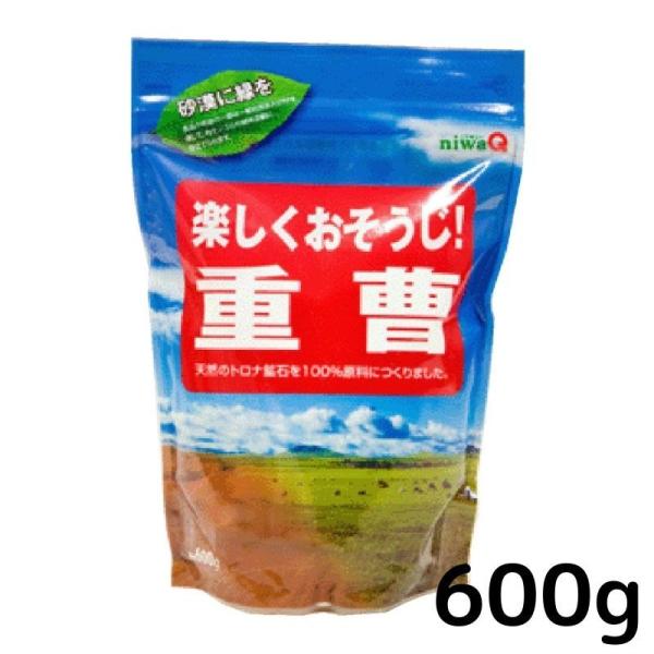 楽しくおそうじ 重曹 600g 無添加 キッチン 掃除 コゲ落とし 油汚れ 消臭 丹羽久 重曹 