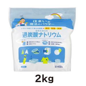 漂白 除菌 過炭酸ナトリウム 20kg 酸素系 業務用 過炭酸ソーダ (同梱