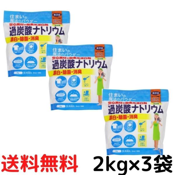 過炭酸ナトリウム 酸素系 漂白剤 2kg ×3個 無添加 ウィルス対策  除菌 洗浄 消臭 漂白 洗...