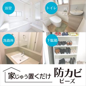 家じゅう置くだけ 防カビビーズ 130g カビ...の詳細画像2
