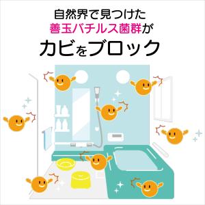 家じゅう置くだけ 防カビビーズ 130g カビ...の詳細画像3
