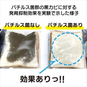 家じゅう置くだけ 防カビビーズ 130g カビ...の詳細画像4