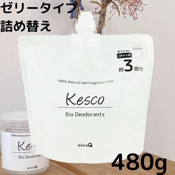 ケスコ置き型ゼリー つめかえ用 480g　無香料 靴 タバコ 部屋 ペット キッチン トイレ