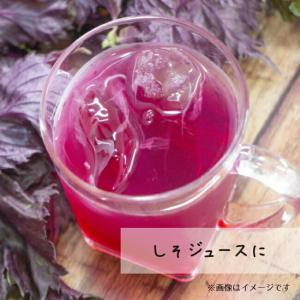 クエン酸 250g ドリンク 疲労回復 食用 ...の詳細画像1