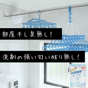 消臭柔軟剤 600g 6個 無添加 界面活性剤...の詳細画像4