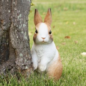 ダッチうさぎのガーデンオーナメント　（置物　オーナメント　庭　絵本　かわいい　うさぎ　動物　オブジェ　ガーデニング　飾り）