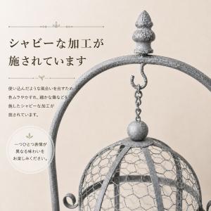 フロートケージ シャビー アイアンプランター ...の詳細画像2