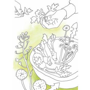 韓国 塗り絵 食べ物の商品一覧 通販 Yahoo ショッピング