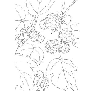 韓国 塗り絵 食べ物の商品一覧 通販 Yahoo ショッピング