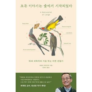 韓国語エッセイ『物語は森から』の高価買取価格