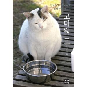 韓国語 フォトエッセイ 『ありがとう ぽー 』傷だらけの野良猫の感動フォトエッセイ 著：太田康介｜niyantarose