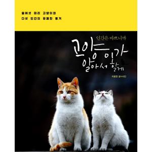 韓国語 絵本『サイコだけど大丈夫 特別童話 5冊セット』著：チョヨン
