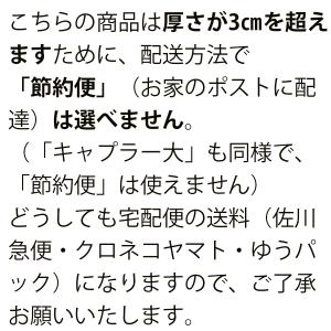 フラワーネイル 12番 4.5cm FN12(...の詳細画像3