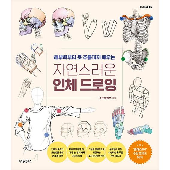 韓国語 美術 イラスト 本 『自然な人体ドローイング - 解剖学から服のシワまで学ぶ』 著：ソウン ...