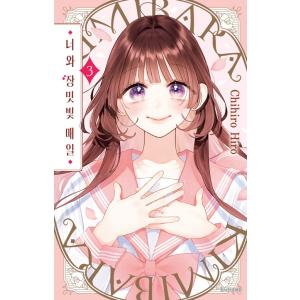 最終在庫）【超豪華限定版】韓国語 まんが 『ある日お姫様になって