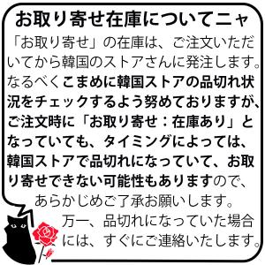 韓国 ノベル グッズ『怪談に落ちても出勤しなけ...の詳細画像1