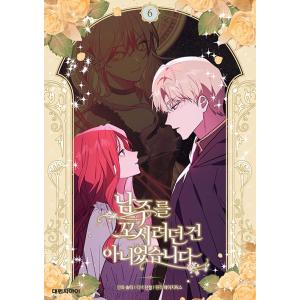 最終在庫）【超豪華限定版】韓国語 まんが 『ある日お姫様になって
