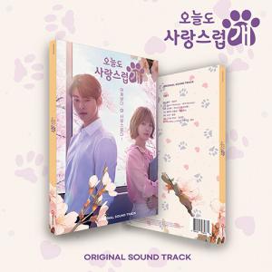 韓国音楽CD『ワンダフルデイズ O.S.T』 (CD+ブックレット+フォトカード+レンチキュラーカード+ポストカード) ASTROのチャ・ウヌ、パク・ギュヨン主演｜niyantarose