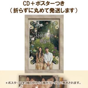 韓国音楽CD+ポスター（丸めて）『サイコだけど大丈夫