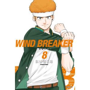 特装版】韓国語 まんが『WIND BREAKER 公式キャラクターブック 秘