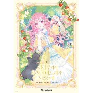 超豪華限定版】韓国語 まんが 『ある日、お姫様になってしまった件