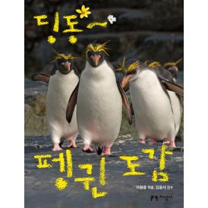 韓国語動物幼児学習本『ティンドン(ピンポン)〜ペンギン図鑑』編集：イ・ウォンジュン