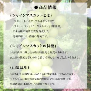 予約販売 8月下旬順次発送 シャインマスカット...の詳細画像4