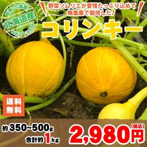 【ただいま収穫中！】野菜ソムリエが栽培した北海道産の西洋野菜、コリンキー 350g〜500g 約1kg｜nk2farm