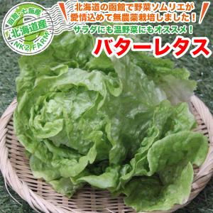 北海道産 バターレタス 1玉 西洋野菜／北海道で野菜ソムリエの資格を持つ農家直送の野菜｜nk2farm