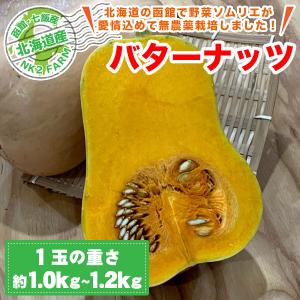 北海道産 バターナッツ 1玉（約600g〜900g）／ひょうたんのようなかわいい形のかぼちゃ｜nk2farm