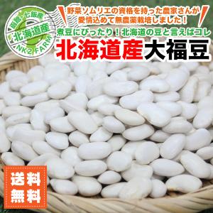 大福豆 500g 2020年 北海道産 白いんげん 送料無料｜nk2farm