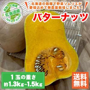 北海道産 バターナッツ 3玉セット（1玉約1.3kg〜1.5kg）送料無料／ひょうたんのようなかわいい形のかぼちゃ｜nk2farm