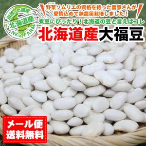 大福豆 100g 北海道産 送料無料 ポイント消化／メール便で発送のため代金引換・日時指定不可｜nk2farm