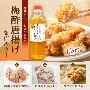 1950円を2個購入で梅酢プレゼントキャンペー...の詳細画像2