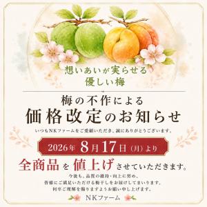 無添加 はちみつ 梅干し 塩分5%(人工甘味料...の詳細画像1