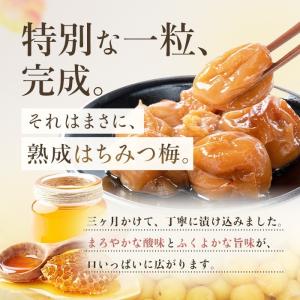 無添加 はちみつ 梅干し 塩分5%(人工甘味料...の詳細画像3