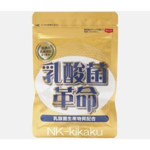 乳酸菌革命 330mg×62粒 有胞子性乳酸菌 健康いきいき倶楽部 乳酸菌サプリメント