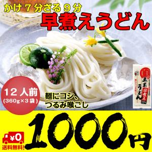 五木 早煮えうどん 12人前 1000円 ポッキリ ポイント消化ネコポス