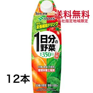 伊藤園 1日分の野菜 紙パック 1L(1000ml) 2ケース（6本入×2箱）12本【野菜ジュース】屋根型キャップ付容器｜nkms