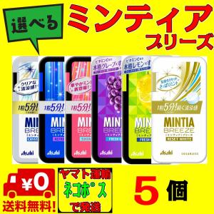 1000円ポッキリ ポイント消化 選べるミンティアブリーズ 5個 ネコポス MINTIA フリスク ネコポス｜nkms