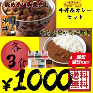 カレー 牛丼の具 ビーフカレー 中辛 セット 各3食 ご飯の...