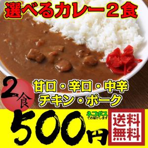 カレー 500円 ポッキリ レトルトカレー 選べる2食 専門店 お試しセット 送料無料 最安値 ビーフ 中辛 辛口 甘口 チキン ポーク ネコポス