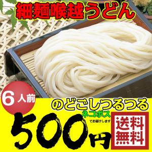 ポイント消化 500 お試し 食品 うどん 讃岐うどん 細 セット 徳用6人前 送料無料 ネコポス ご当地うどん