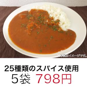 カレー レトルトカレー セール 5食 スパイシーカレー 中辛  ポッキリ ネコポス