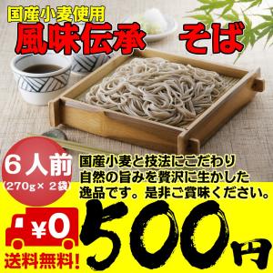 ポイント消化 500 お試し 食品 そば 6人前 送料無料 ネコポス 年越しそば