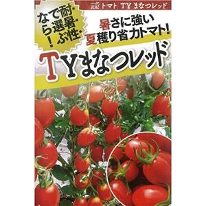 フタバ種苗 TYまなつレッド(トマト)種・小袋詰(10粒)