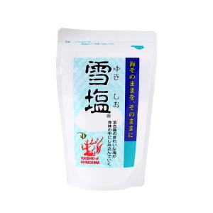 ≪メール便対応≫雪塩　スタンドパック　120g パラダイスプラン